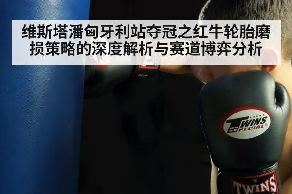 维斯塔潘匈牙利站夺冠之红牛轮胎磨损策略的深度解析与赛道博弈分析