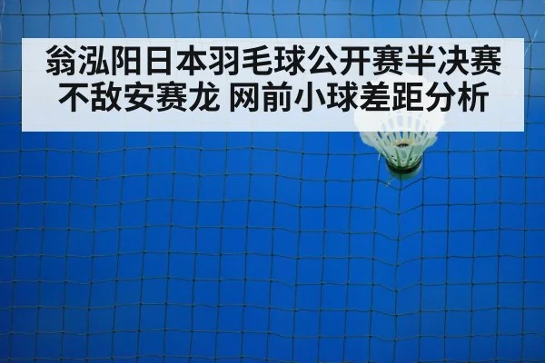badminton net shot